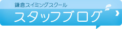 スタッフブログ